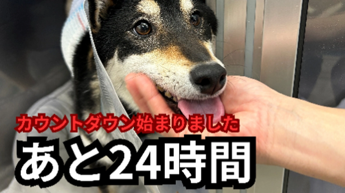 どうか、みなさま、最後に力を貸してください。