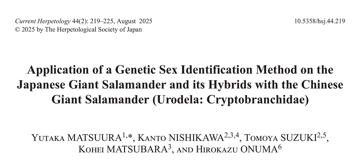 オオサンショウウオの性鑑定に関する論文が出版されました！