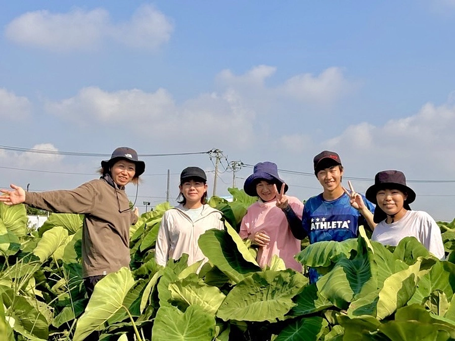 幸せの種まき🌱