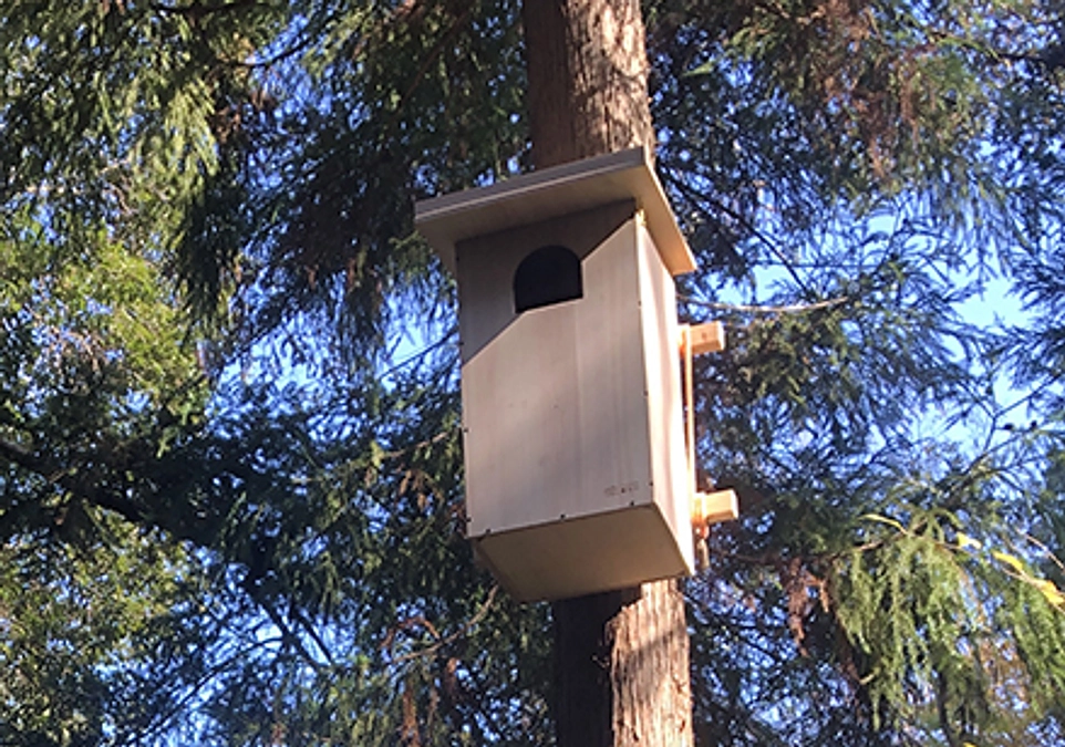 フクロウ巣箱を架設しました