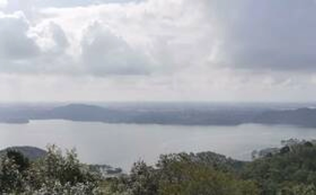 【リターンを気にせずご支援いただける方向け】応援コース