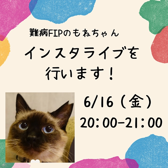 ★2023.6/15 投薬開始63日目★