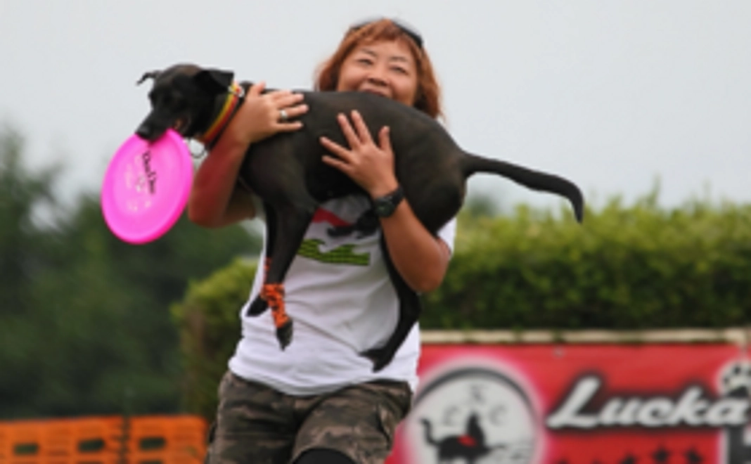 プロジェクト応援