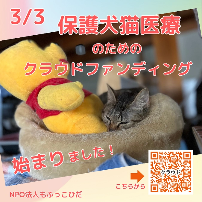 クラウドファンディング開始しました！