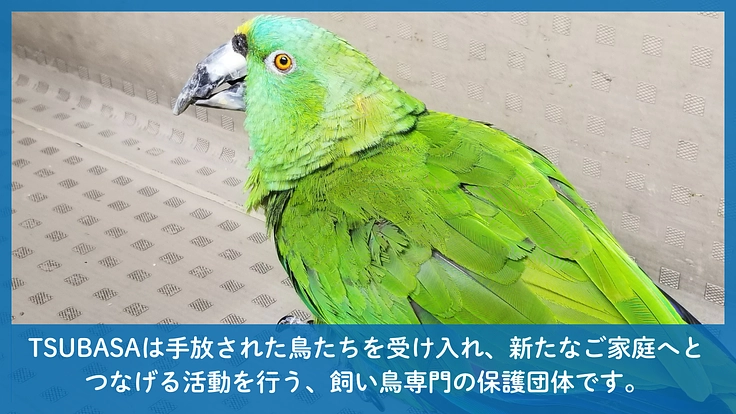 TSUBASA|次の空へ羽ばたく居場所。新拠点への移転にご支援を! 2枚目
