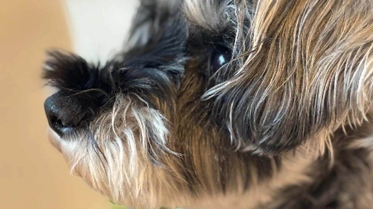 定期検診に行ってきました。