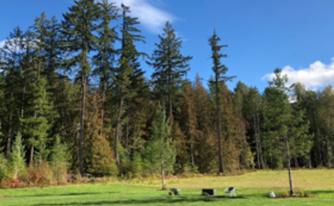 カレンダー1セットコース