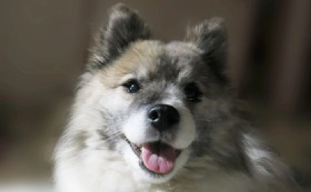 【個人向けコース】お気持ち支援