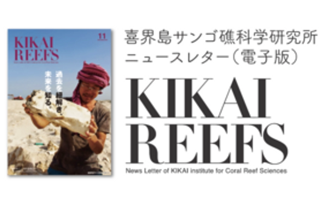 お礼のメール＆ニュースレター購読『媒体（電子版）』