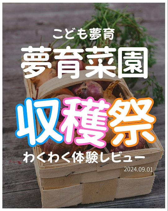 2024.09.01 こども夢育菜園 収穫体験会を開催いたしました！！