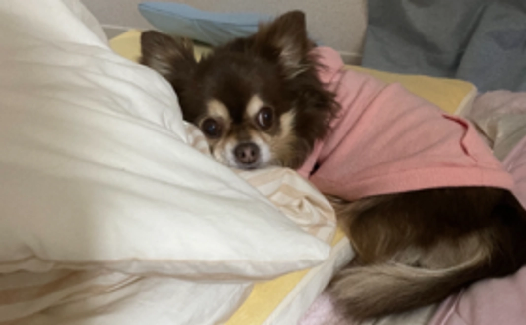 感謝のメッセージ①