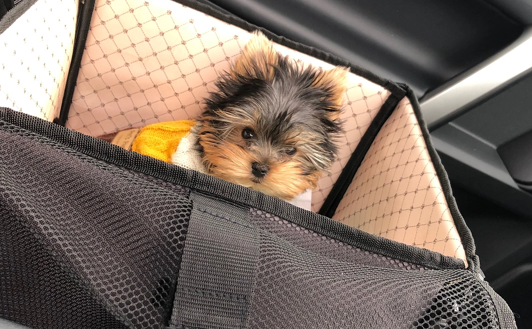 1.リターンなし