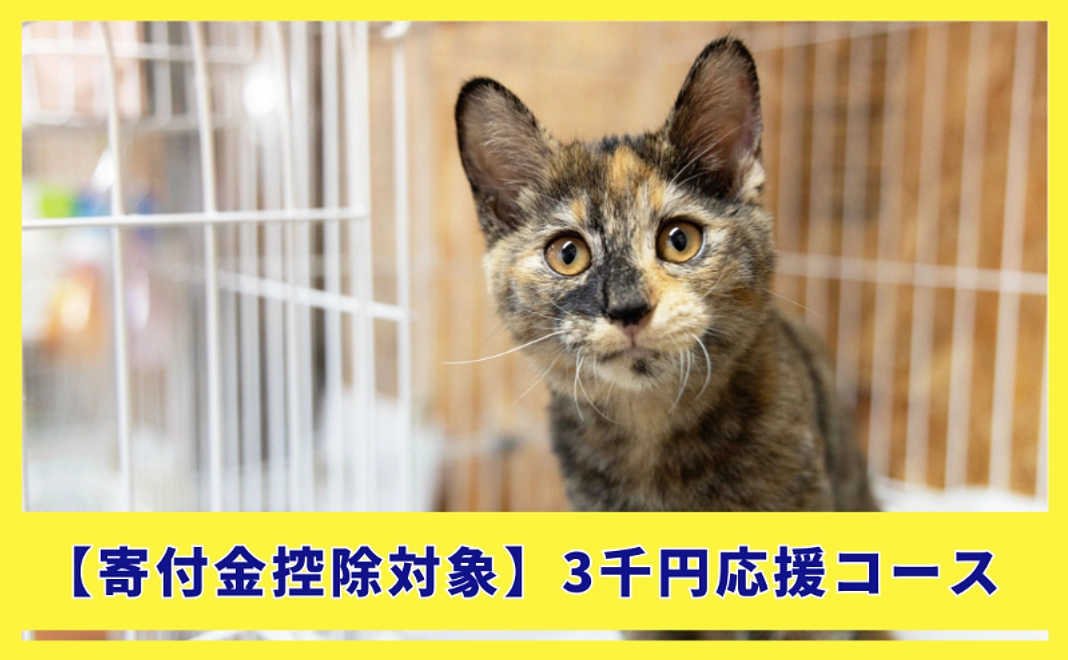 【寄付金控除対象】3千円応援コース