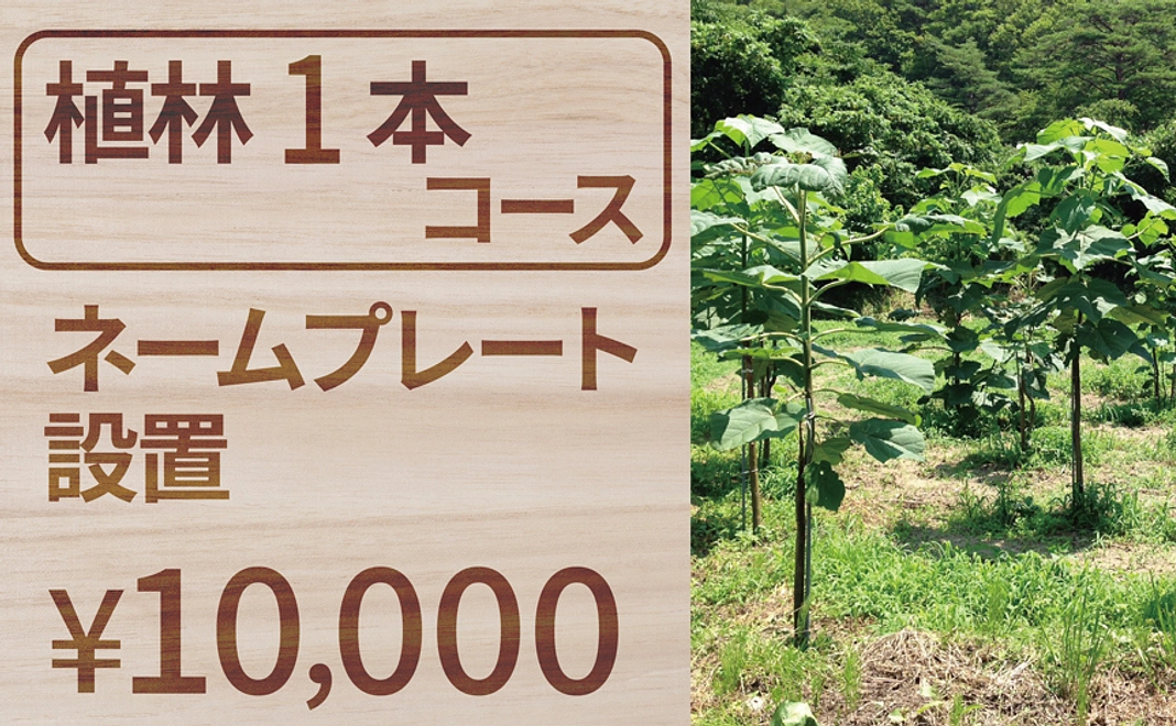 【植林1本コース】ネームプレート設置