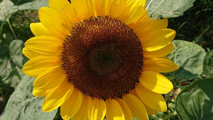 児童福祉施設の開業にご協力ください！子供達の笑顔を守りたい！