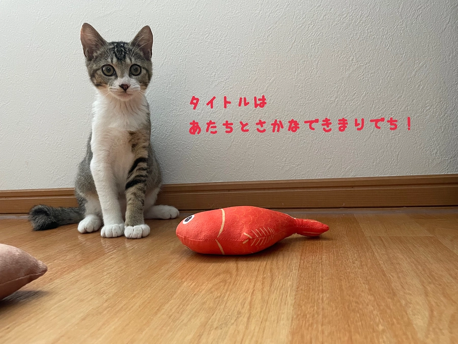 【初】けりけり