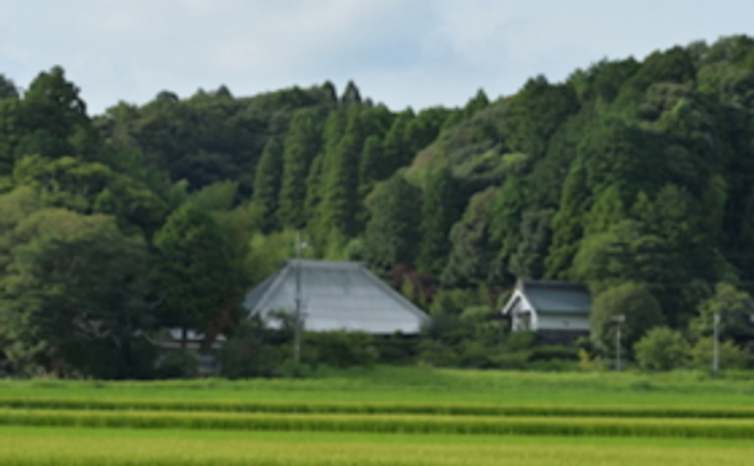 【みんなで実家を作ろう！】まるがやつ家族チケット