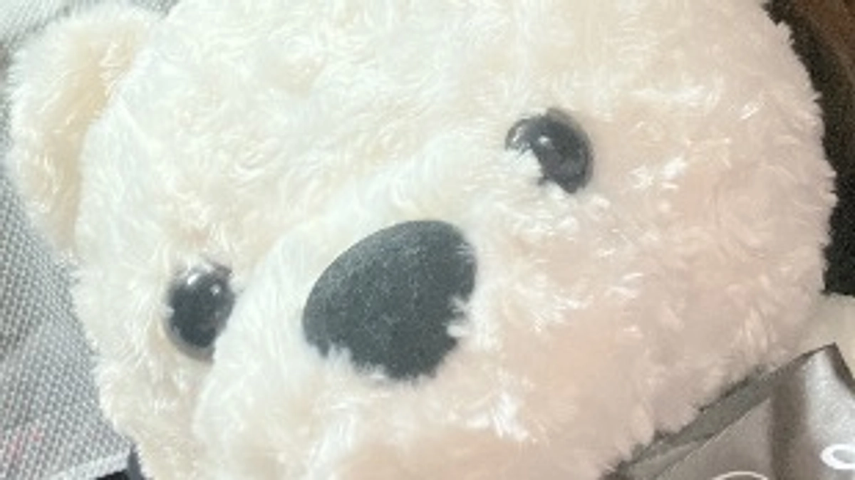 今日は気晴らしに