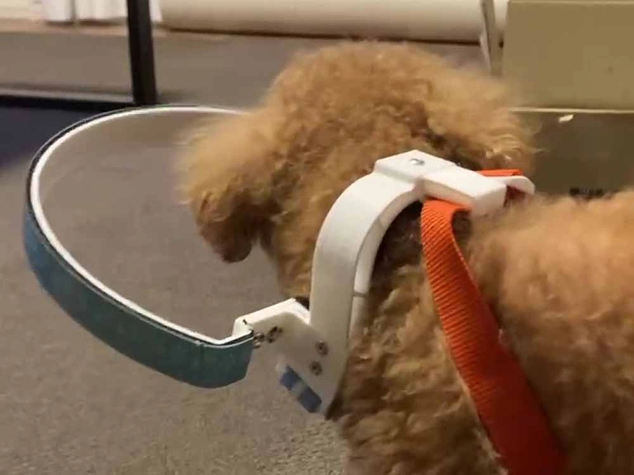 4月の活動報告：ドッグバンパーの製作数5個、修理1個