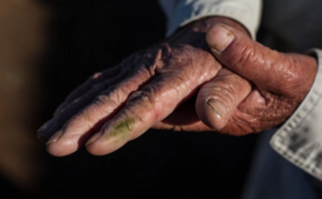 おおすみの「さ・し・す・せ・そ」