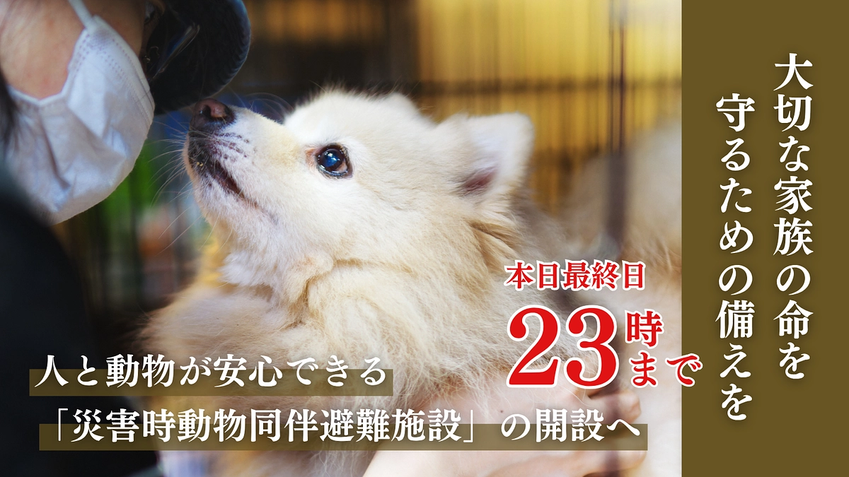 【本日最終日｜ご支援は23時まで】最後まで応援お願いいたします
