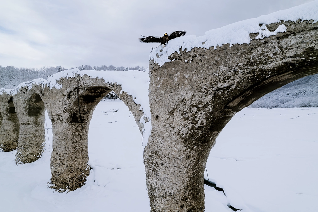 朝日新聞デジタルでご紹介いただきました