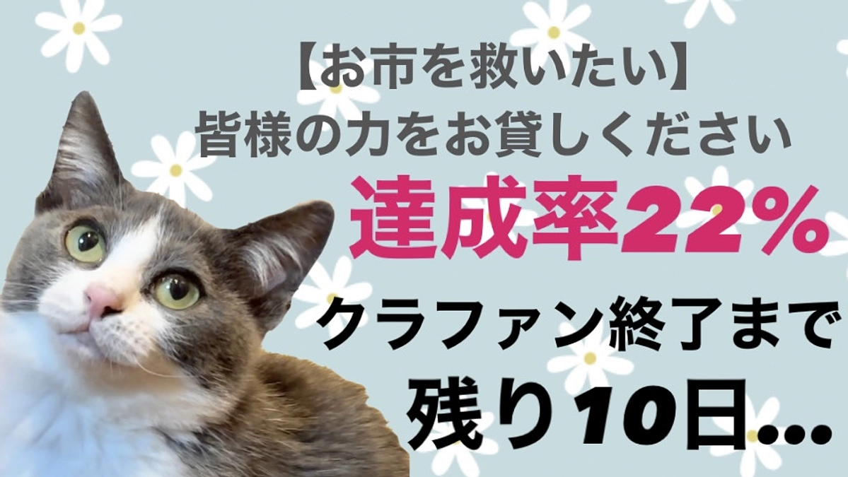 リターン品の追加申請しました。クラファン終了日まで残り１０日／達成率２２％です・・・
