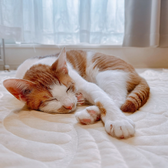 お薬を切り替えてから数日が経過しました