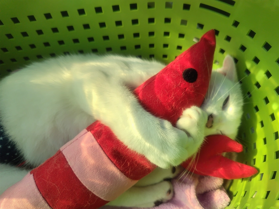 通院のご報告🏥