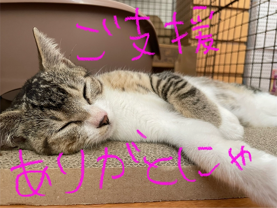 【祝達成！！】本当に本当にありがとうございます！！