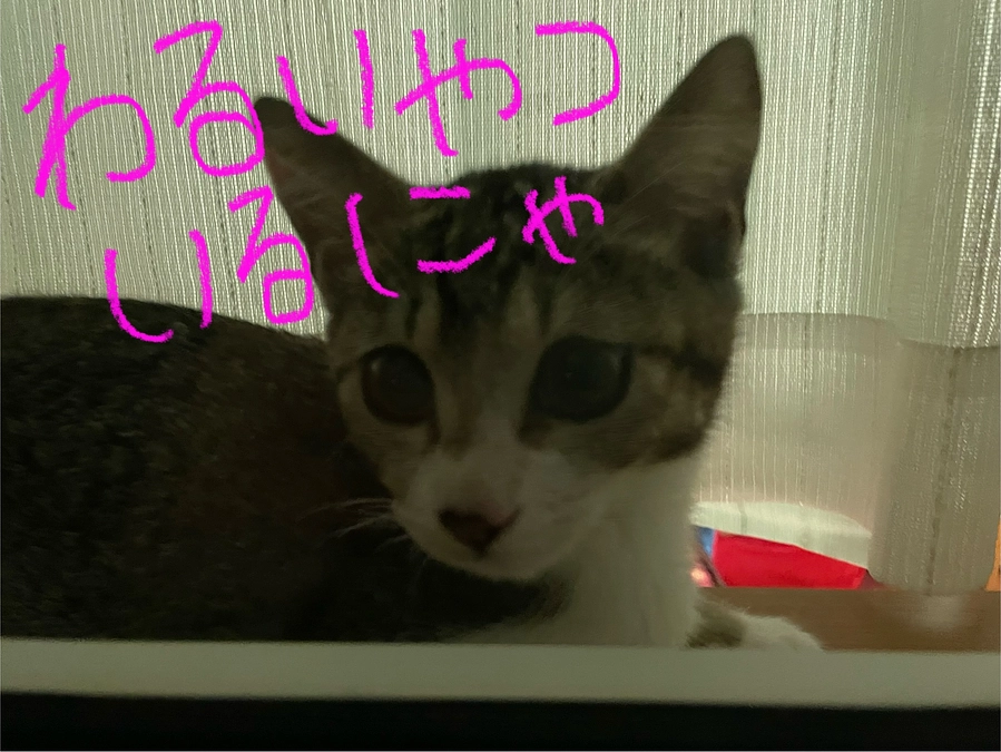 にゃるそっく！