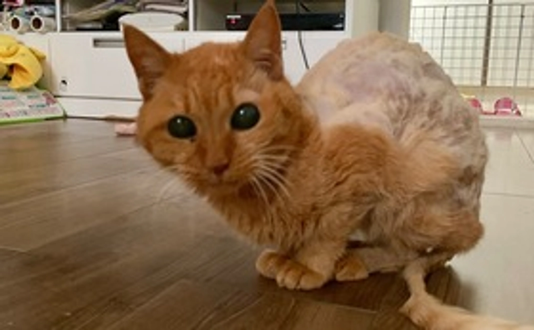 感謝のメールと写真