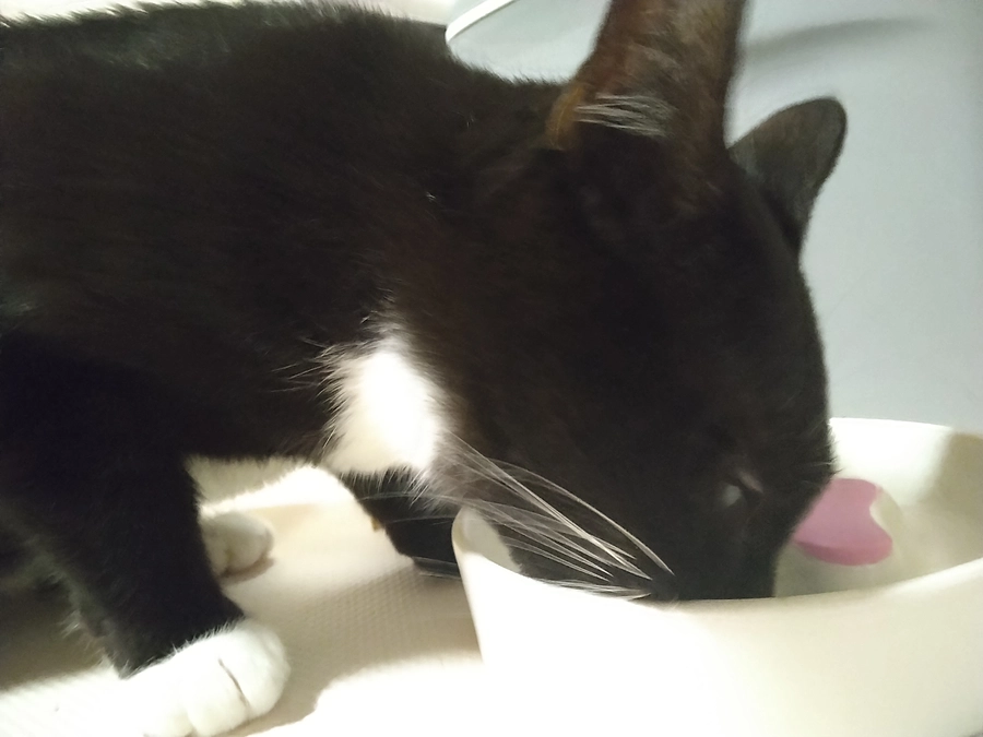 3/13はなちゃんの様子