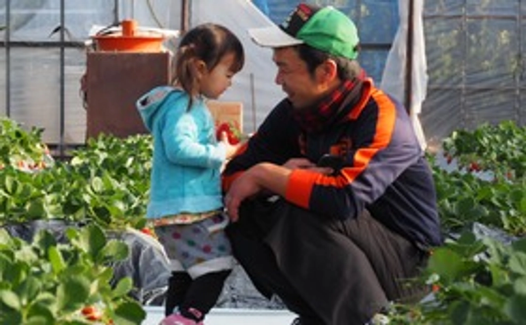 応援コース／3000円