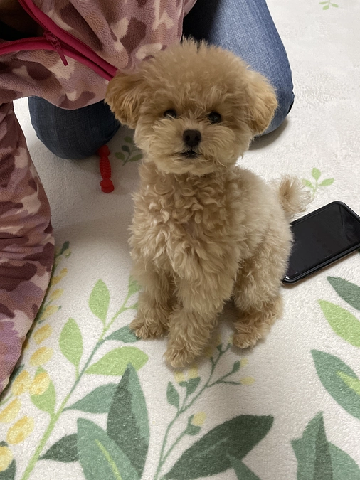 皆様のお陰で達成出来ました