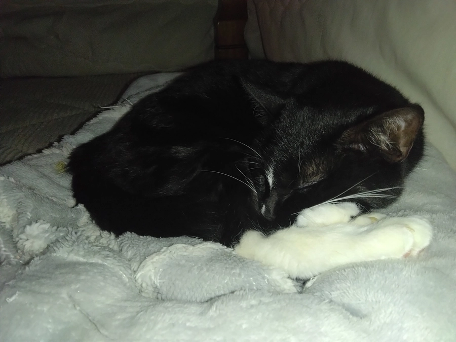 5/25はなちゃんの様子