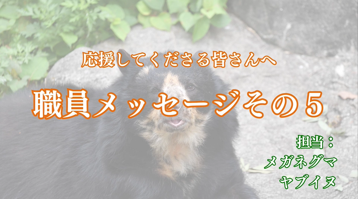 職員からみなさまへ　～メガネグマ、ヤブイヌ担当からのメッセージ～