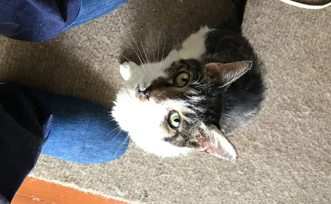 動画をYoutubeにUPします。2000