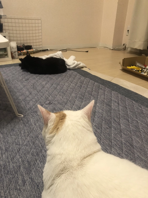 良くなってほしいです💦