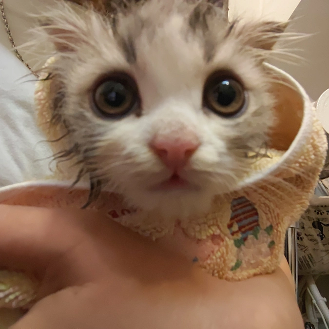 今日はとても嬉しい事が☺️🙏