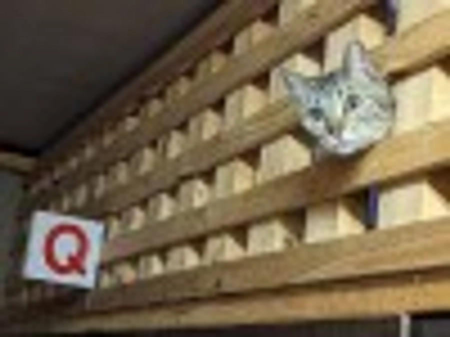 保護猫シェルター　お掃除できません！