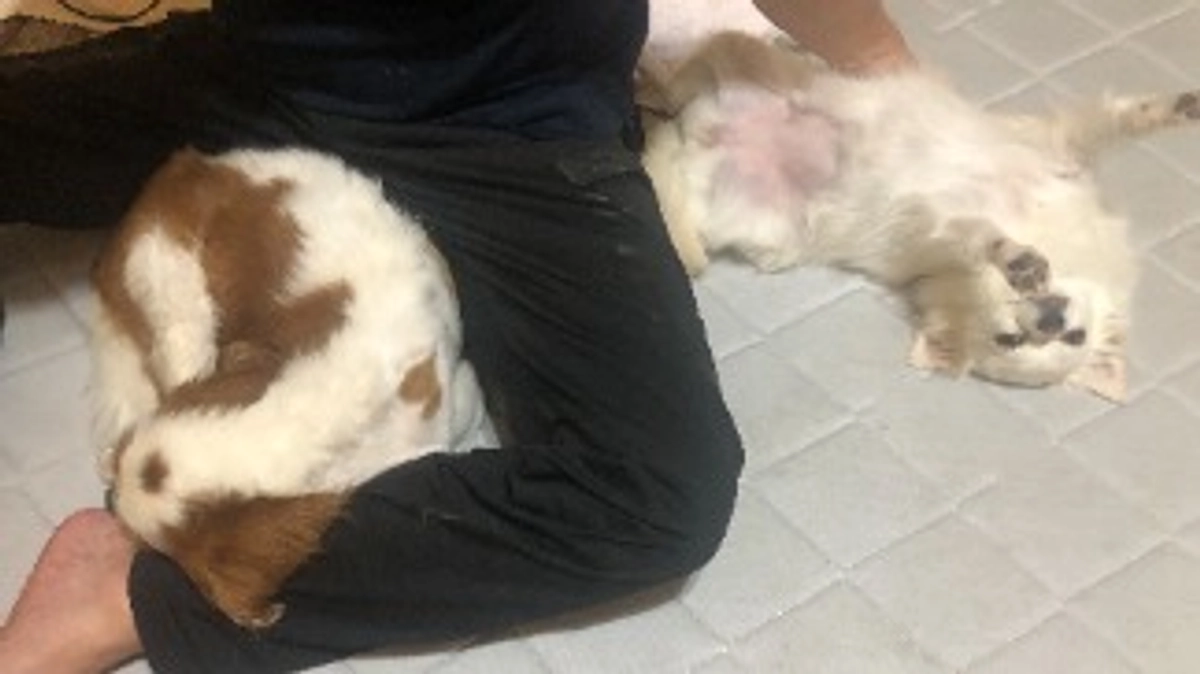 術後18日目の検査