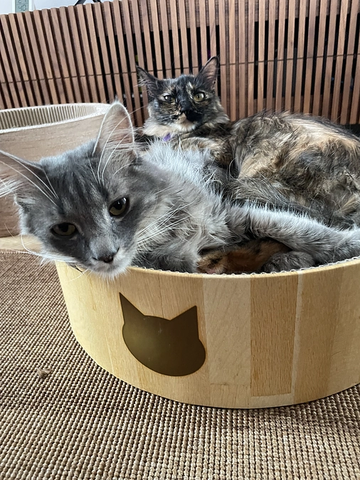 代理支援について追加ご案内