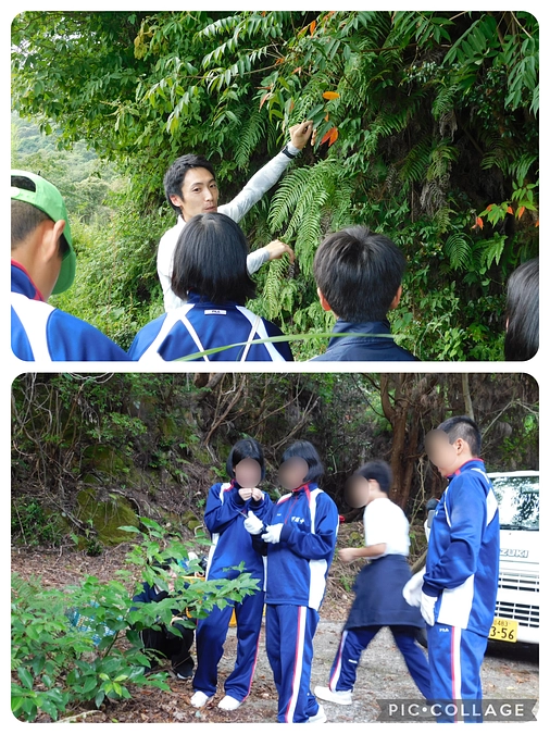 R6.10.2　東洋町立甲浦中学校　フィールドワーク　伐木体験等
