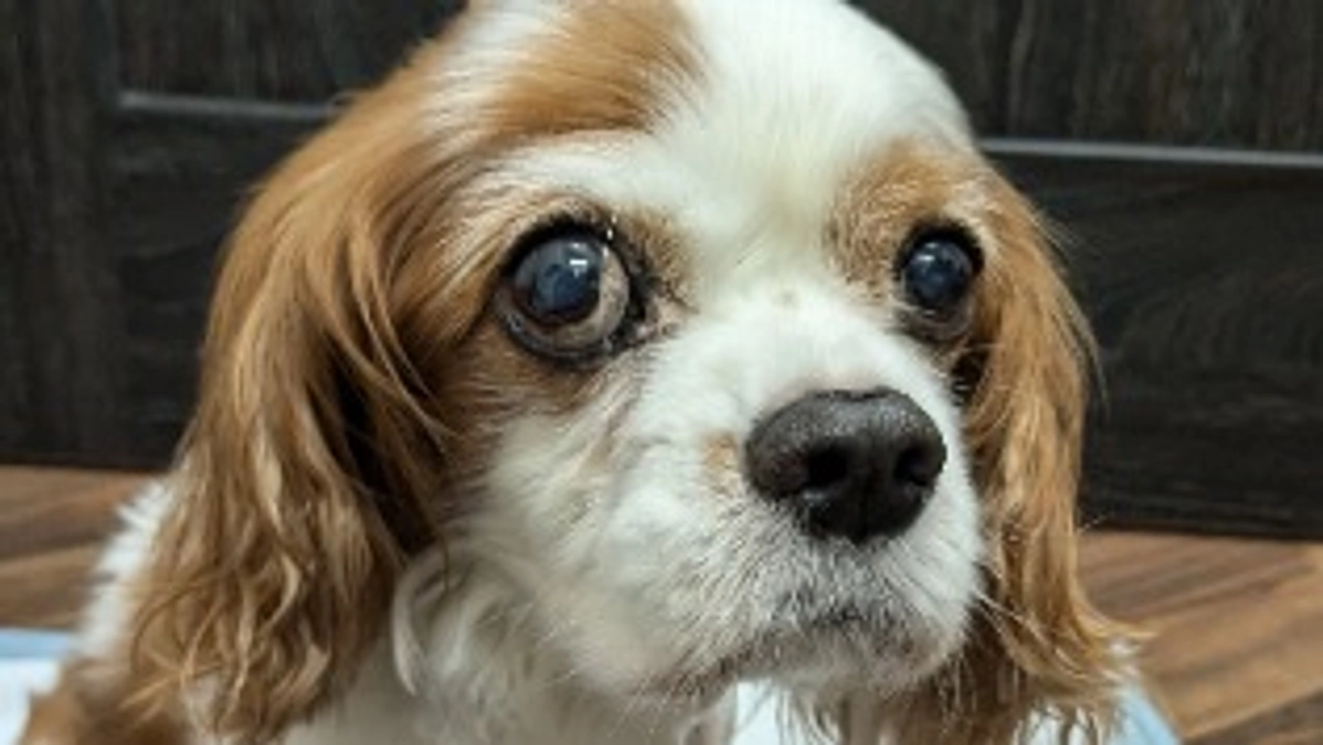 術後10日目　今日はまだ退院できず