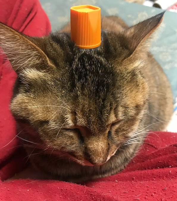 プロジェクト達成！それとネクストゴールについて