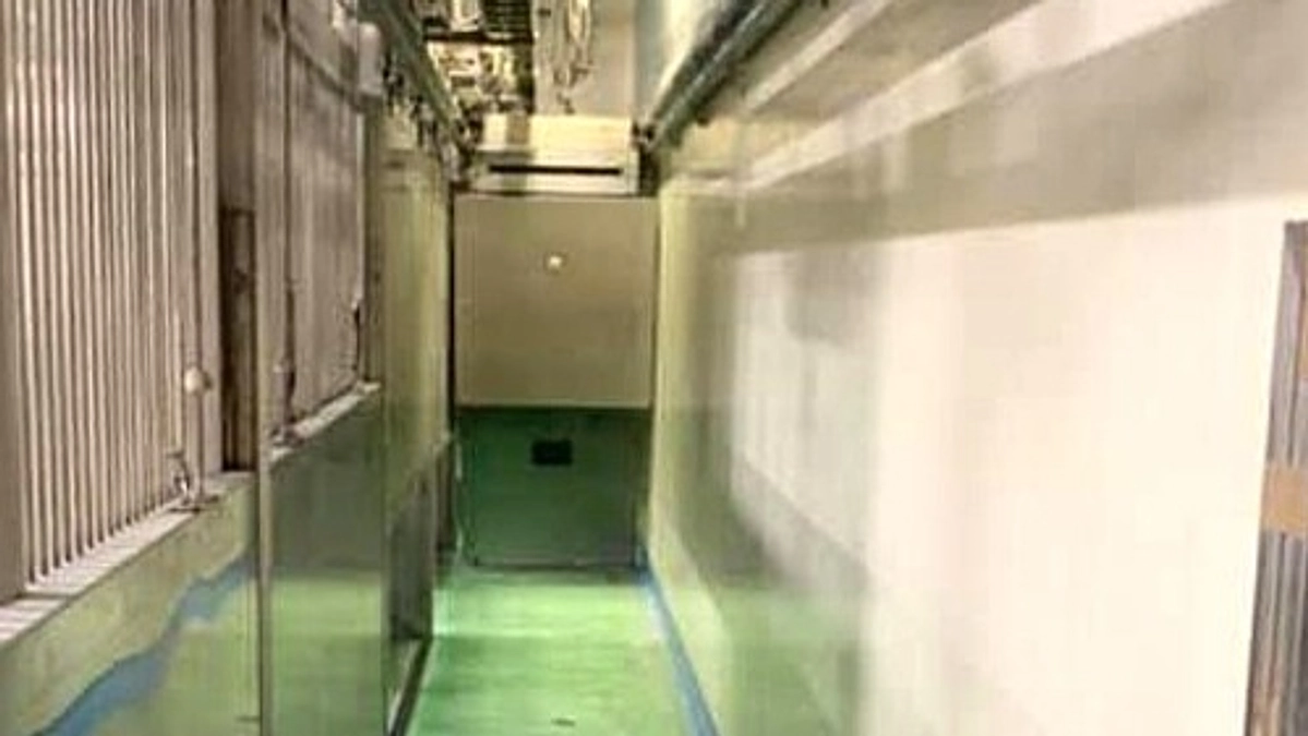 【実話】あの日、僕は殺処分機の中に入った。狭く冷たい金属の箱の中で……