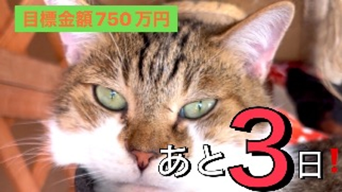 残り【3日】となりました！