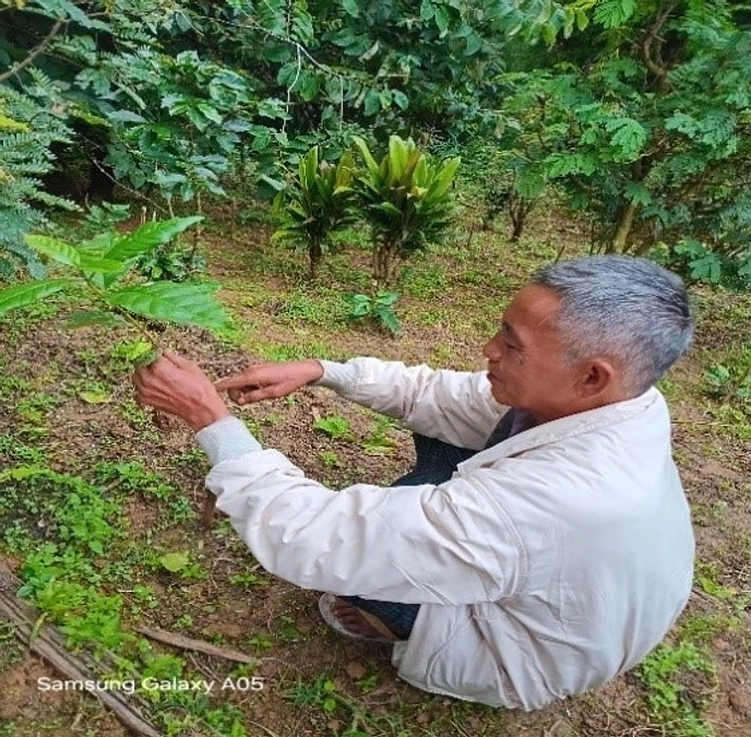 「この支援が未来をつくる」――土砂崩れからの再出発を支える現金給付