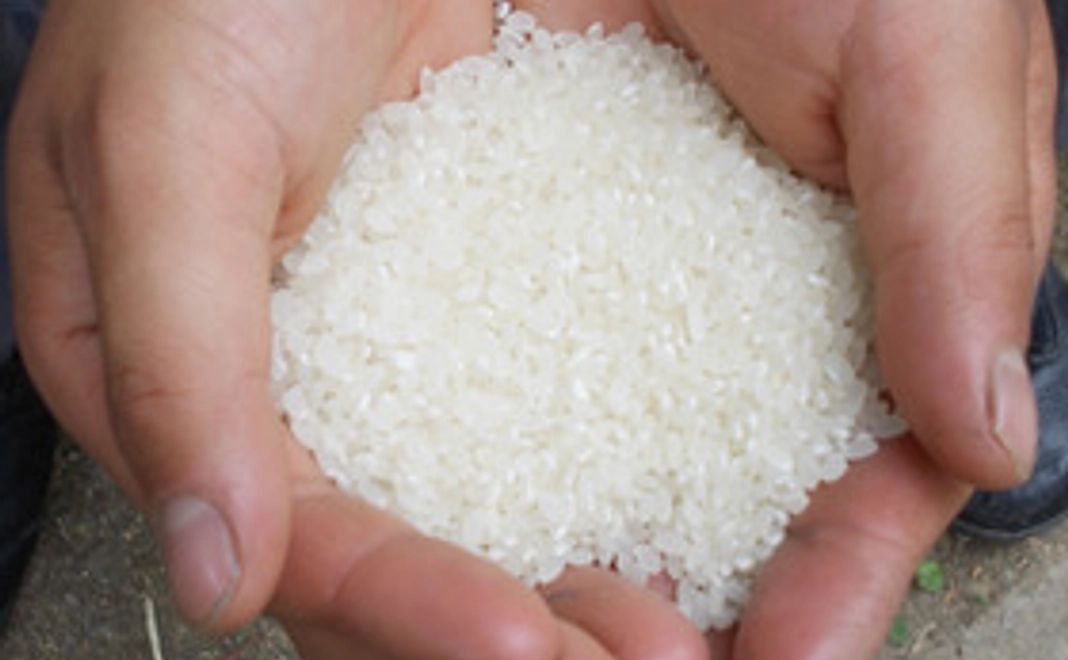 感謝の手紙 棚田米1合 （一期一会を一合一会に例えて、 棚田米1合をお送りします。）